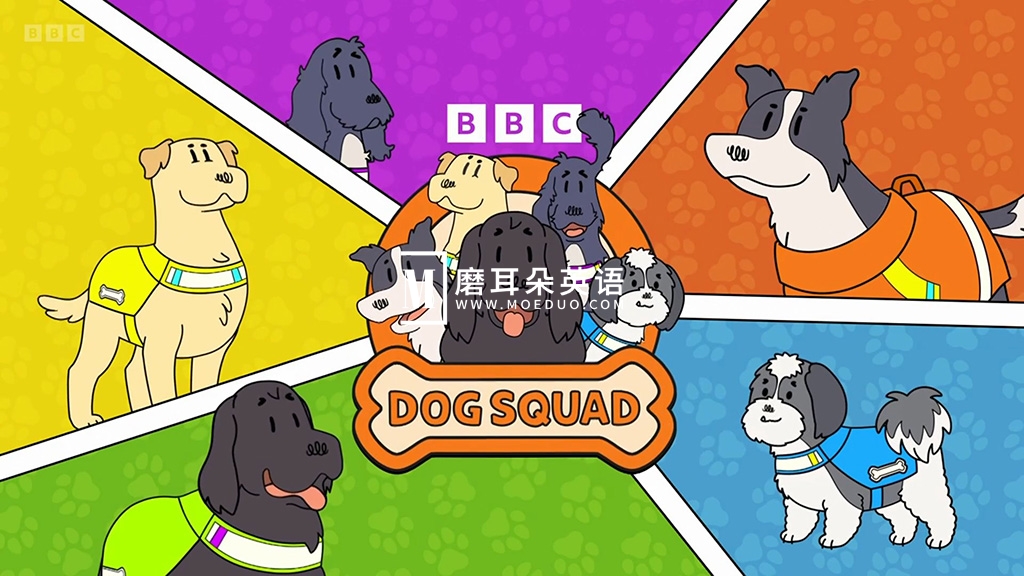 BBC寓教于乐儿童节目《Dog Squad》全1-3季共40集，了解不同类型工作犬，1080P高清视频带英文字幕，百度网盘下载！-磨耳朵英语